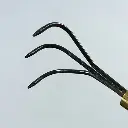 goods_218_3.webp